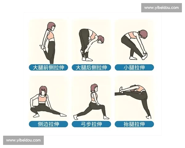 科学拉伸促进肌肉弹性提升与运动恢复效果优化的系统方法研究